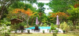 River Kwai House - Pool With Orange