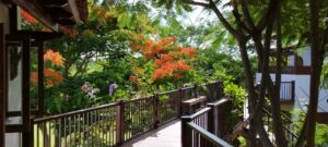 River Kwai House - Whatsapp Image 2022 08 14 At 4 37 19 Pm 1024x461